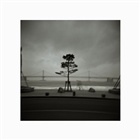 dailyPhoto9